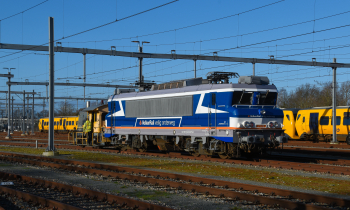 DSC_0550-2.jpg